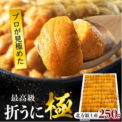 ≪プロ厳選≫最高級折うに(極)計250g_H0014-100