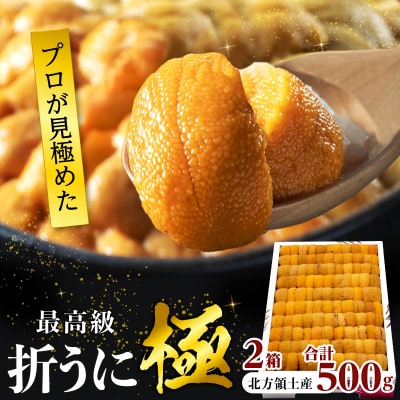 ≪プロ厳選≫最高級折うに(極)計500g_H0014-101