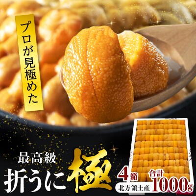 ≪値上げ予定≫≪プロ厳選≫最高級折うに(極)計1000g_H0014-010
