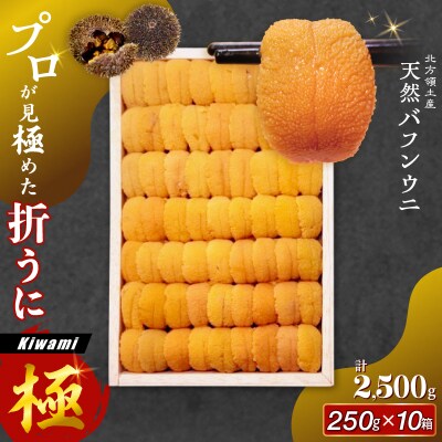≪プロ厳選≫最高級折うに(極)計2500g_H0014-104