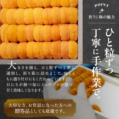≪プロ厳選≫最高級折うに(極)計2500g_H0014-104