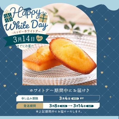 【ホワイトデーまでにお届け】フィナンシェ・マドレーヌ詰め合わせ(16個)_H0030-003-WD