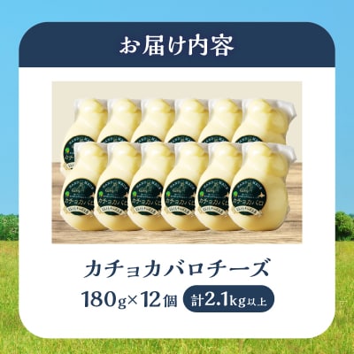 《スペシャル満腹セット!!》なまらたっぷりカチョカバロ180g×12個_H0003-123