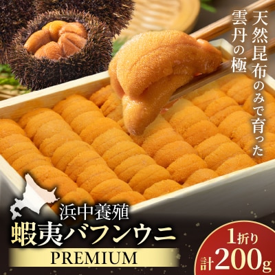 ≪浜中養殖≫蝦夷バフンウニ(200g)折箱入り_H0038-102