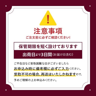 ハーゲンダッツ パイント バニラ3個セット_H0026-109
