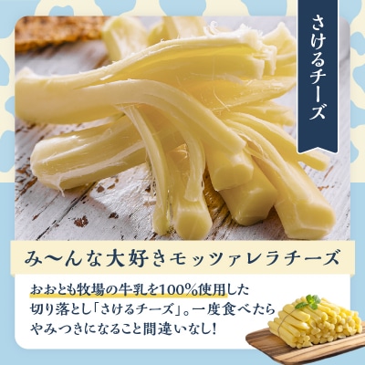 期間限定《ふるさと納税限定》切り落としさけるチーズ(計1kg)_H0003-121