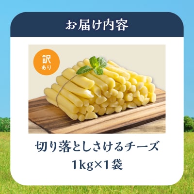 期間限定《ふるさと納税限定》切り落としさけるチーズ(計1kg)_H0003-121