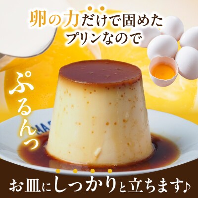 【スピード発送】北海道フレッシュクリームプリン(2個)セット_H0052-105