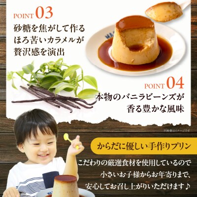 【スピード発送】北海道フレッシュクリームプリン(5個)セット_H0052-108