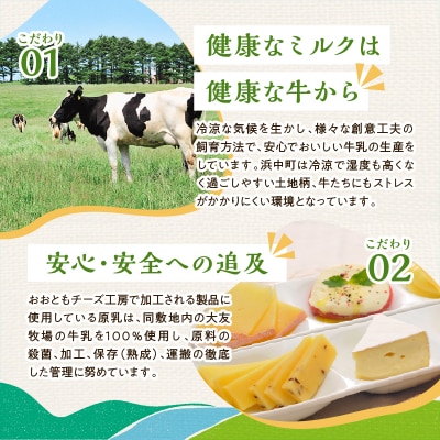 【おおともチーズ工房】《おつまみ&お料理に!!》カットチーズ&カチョカバロセット_H0003-116