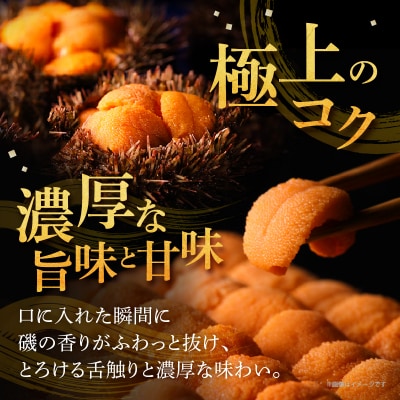  養殖エゾバフンウニ(塩水パック)100g_H0009-115