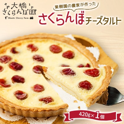 果樹園の農家が作ったさくらんぼチーズタルト