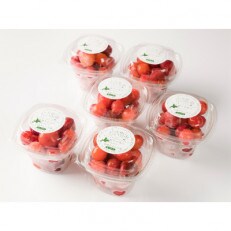 冷凍さくらんぼ(赤MIX)160g×6個入り