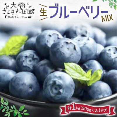 【先行受付中】生ブルーベリー MIX 1kg 北海道・芦別産ブルーベリー【大橋さくらんぼ園】