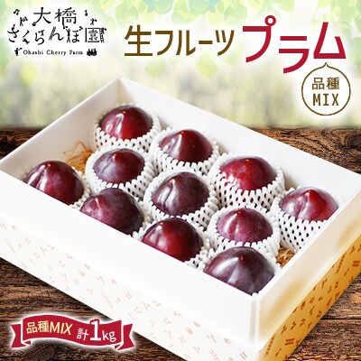 先行受付中】生フルーツ プラム お試し用1kg【2】北海道・芦別産 先行受付中】生フルーツ プラム お試し用1kg【2】北海道・芦別産