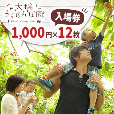 大橋さくらんぼ園　さくらんぼ狩り入園券(1000円×12枚)