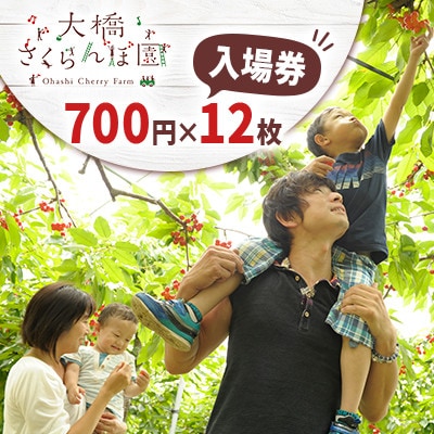 大橋さくらんぼ園　さくらんぼ狩り入園券(700円×12枚)