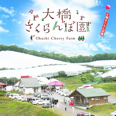 大橋さくらんぼ園　さくらんぼ狩り入園券(700円×12枚)