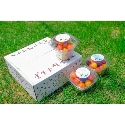 北海道産 冷凍さくらんぼミックス160g×3パック