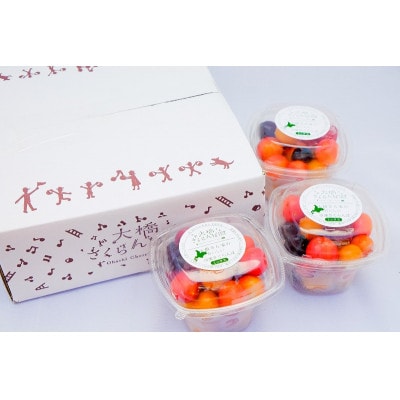 冷凍さくらんぼミックス160g×3パック・果樹園のさくらんぼチーズタルト