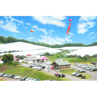 さくらんぼスペシャル2色Bセット(紅秀峰・月山錦)24粒