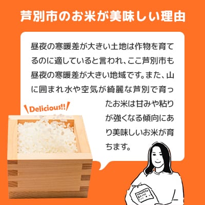 令和6年産・精米 北海道産ななつぼし 5kg×2袋(合計10kg)