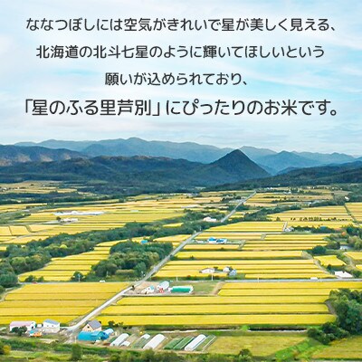 【毎月定期便】北海道ななつぼし　5kg×2袋(10kg)全6回