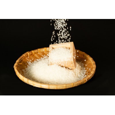 【令和7年産受付】北海道芦別産農家直送ななつぼし　10kg(5kg×2袋)