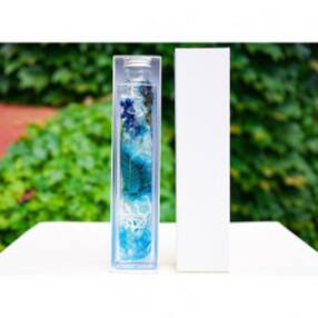 北海道芦別市 花 観葉植物のお礼品 返礼品一覧 ふるさと納税サイト さとふる