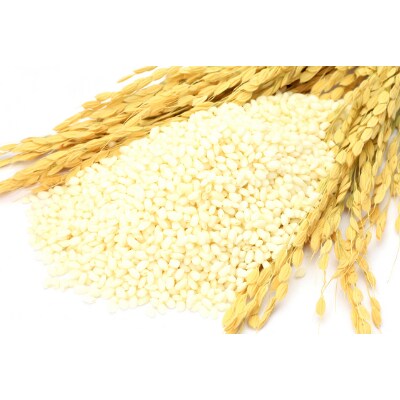 【新米】令和4年北海道産 特Aランク ゆめぴりか10kg(5kg×2袋)【芦別市産】