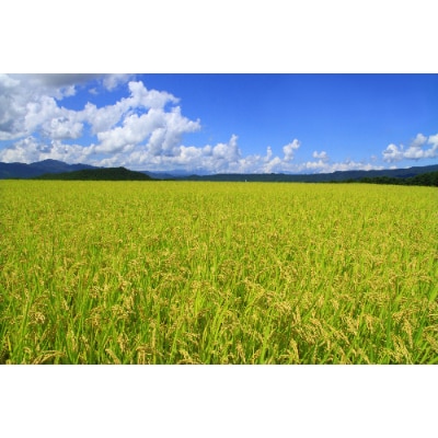 令和3年北海道産 特Aランク ななつぼし10kg(5kg×2袋)【芦別市産】