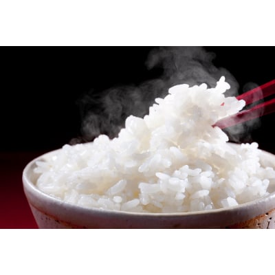 2023年2月発送開始『定期便』北海道産 ゆめぴりか10kg(5kg×2袋)【芦別市産】全6回