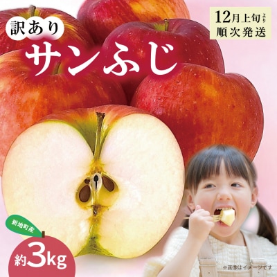新地町産 りんご サンふじ 訳あり 約3kg 1箱