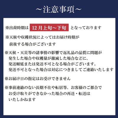 新地町産 りんご サンふじ 訳あり 約3kg 1箱