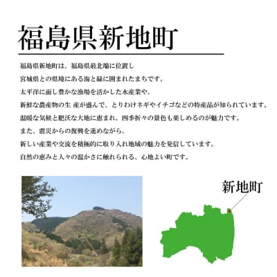 新地町産 りんご サンふじ 訳あり 約3kg 1箱