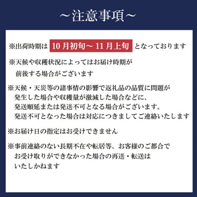 新地町産 りんご 詰め合わせ 訳あり 約3kg 1箱