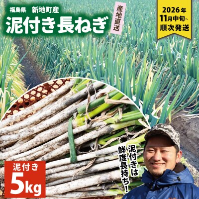 新地町産 泥付き 長ネギ 約5kg 1箱