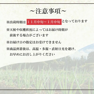 新地町産 泥付き 長ネギ 約5kg 1箱