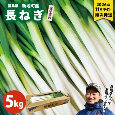 新地町産 長ネギ 約5kg 1箱