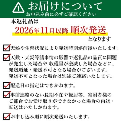 新地町産 長ネギ 約5kg 1箱