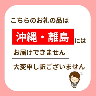 新地町産 長ネギ 約5kg 1箱