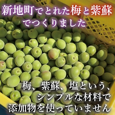 昔ながらの梅干し <選べる内容量> 200g×2パック