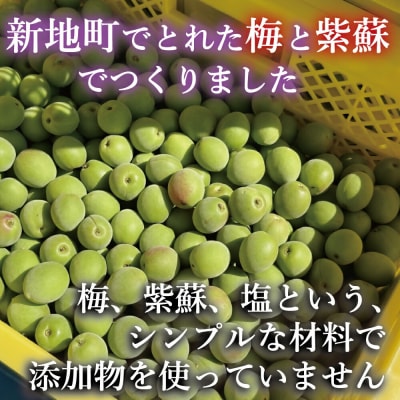 昔ながらの梅干し <選べる内容量>200g×3パック