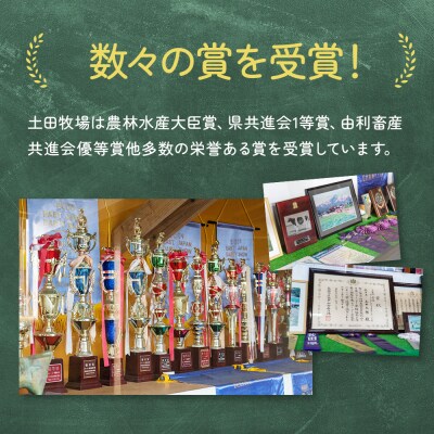 900ml×3本 無糖の飲むヨーグルト「生菌ヨーグルト」 [No.5685-1573]