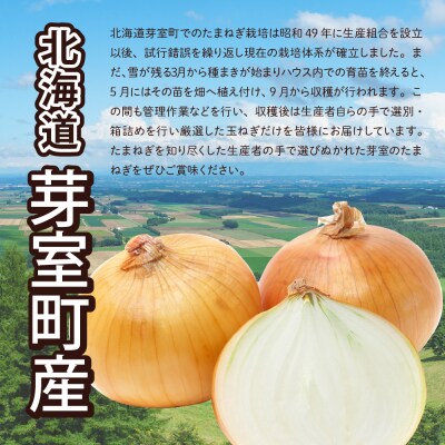 【先行受付】【2024年出荷分】北海道十勝芽室産 たまねぎ10㎏ 1箱 me002-023-24c