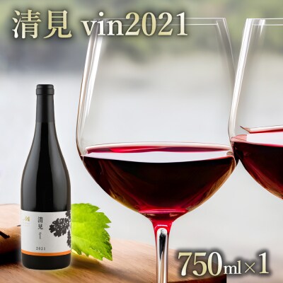 北海道十勝芽室町 赤ワイン:清見 vin2021　750ml×1本(箱入) me032-044c