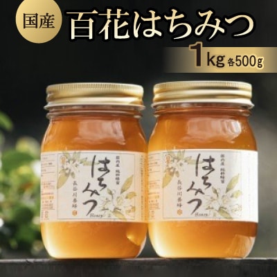 国産　百花はちみつ500g×2本セット　長谷川養蜂　三重県南伊勢町　伊勢志摩 | ふるさと納税のお礼品
