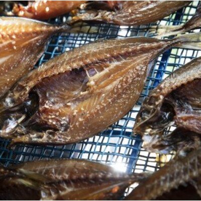 南伊勢町産　季節のひもの(B)7種以上