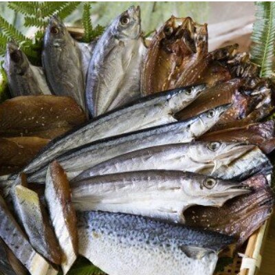 南伊勢町産　季節のひもの(B)7種以上
