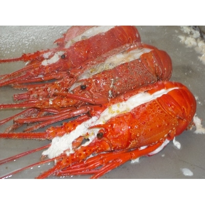 伊勢志摩産 活〆いせえび2尾、乾燥あおさ海苔詰め合わせ(冷凍、生食用)